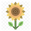 Sunflower Flower Farm Icon
