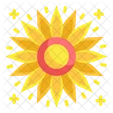 Sunflower Blossom Nature Petals Botanical Summer Plant Icon