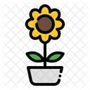 Sunflower  Icon