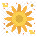 Sunflower  Icône