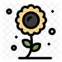 Sunflower  アイコン