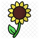 Sunflower Flower Bloom Icon