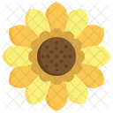 Sunflower Flower Yellow Icon