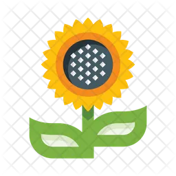 Sunflower  Icon