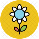 Sunflower Flower With Icon