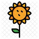 Sunflower  Icon