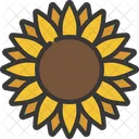 Sunflower  Icon