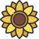 Sunflower Flowers Sun Icon