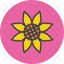 Sunflower Flower Autumn Icon