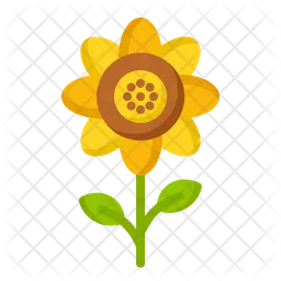 Sunflower  Icon