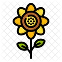 Sunflower  Icon