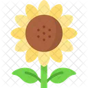 Sunflower Helianthus Petals Icon