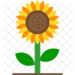 Sunflower  Icon