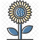 Sunflower  Icon