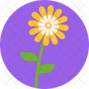 Sunflower Food Organic Icon