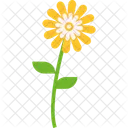 Sunflower Food Organic Icon