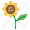 Sunflower Farming And Gardening Flower Icon