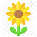 Sunflower Flower Floral Icon