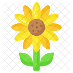 Sunflower  Icon