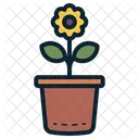 Sunflower Flower Plant Icon