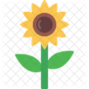Sunflower Flower Nature Icon