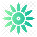 Sunflower Botanical Blossom Icon