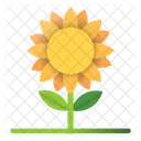 Sunflower Icon