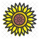 Sunflower Flower Chrysanthemum Icon