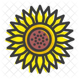 Sunflower  Icon