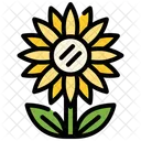 Sunflower Flower Sun Icon