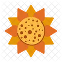 Sunflower Autumn Flower Seasonal Bloom Icon