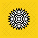 Sunflower Flower Chrysanthemum Icon