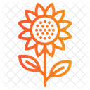 Sunflower Flower Botanical Icon