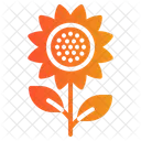 Sunflower Flower Botanical Icon