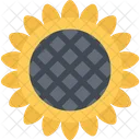 Sunflower Ecology Nature Icon