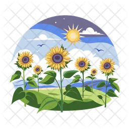 Sunflower filed  Icon