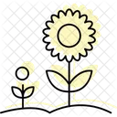 Sunflower Garden Sunflower Garden Icon