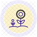 Sunflower Garden Sunflower Garden Icon