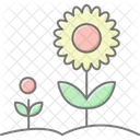 Sunflower Garden Sunflower Garden Icon
