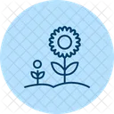 Sunflower Garden Sunflower Garden Icon