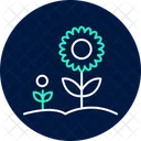 Sunflower Garden Sunflower Garden Icon