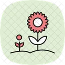 Sunflower Garden Icon