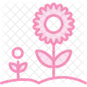 Sunflower Garden Sunflower Garden Icon