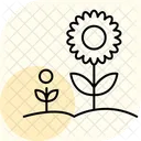 Sunflower Garden Sunflower Garden Icon