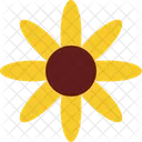 Sunflower Bright Bloom Yellow Petals Icon