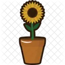 Sunflower Icon