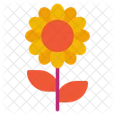 Sunflower Flower Nature Icon