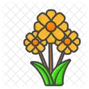 Sunflower Flower Nature Icon