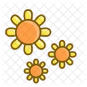 Sunflower Icon