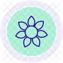 Sunflower Line Icon Icon